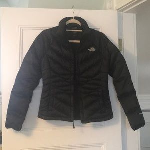 North Face Down Winter Puffer